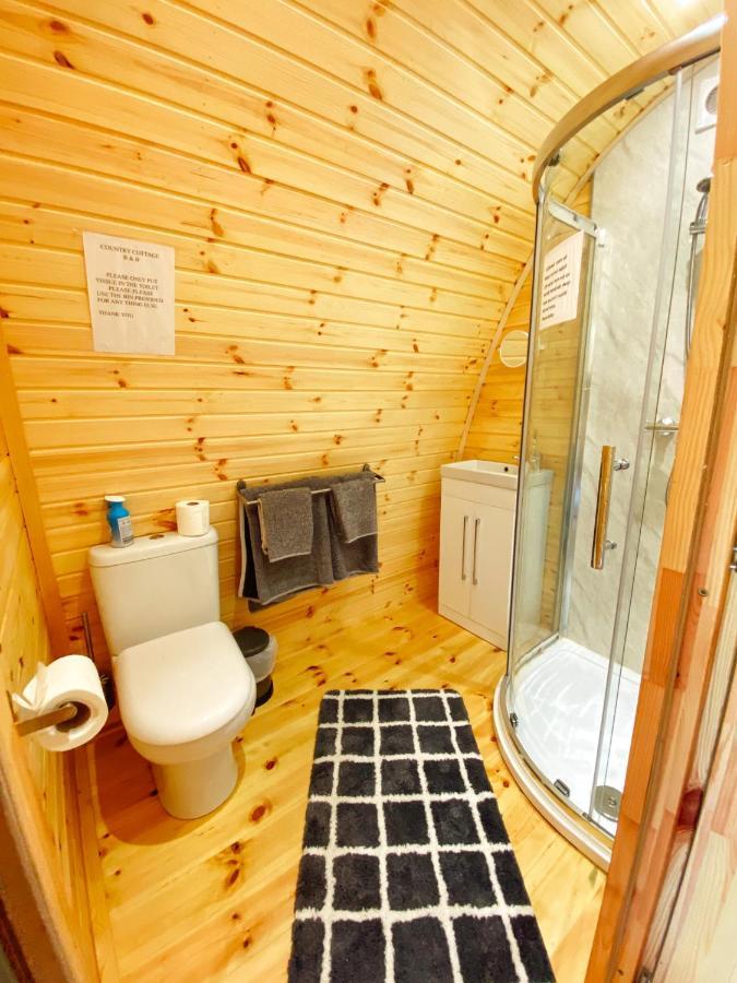 Log Cabin Kells  Exteriör bild