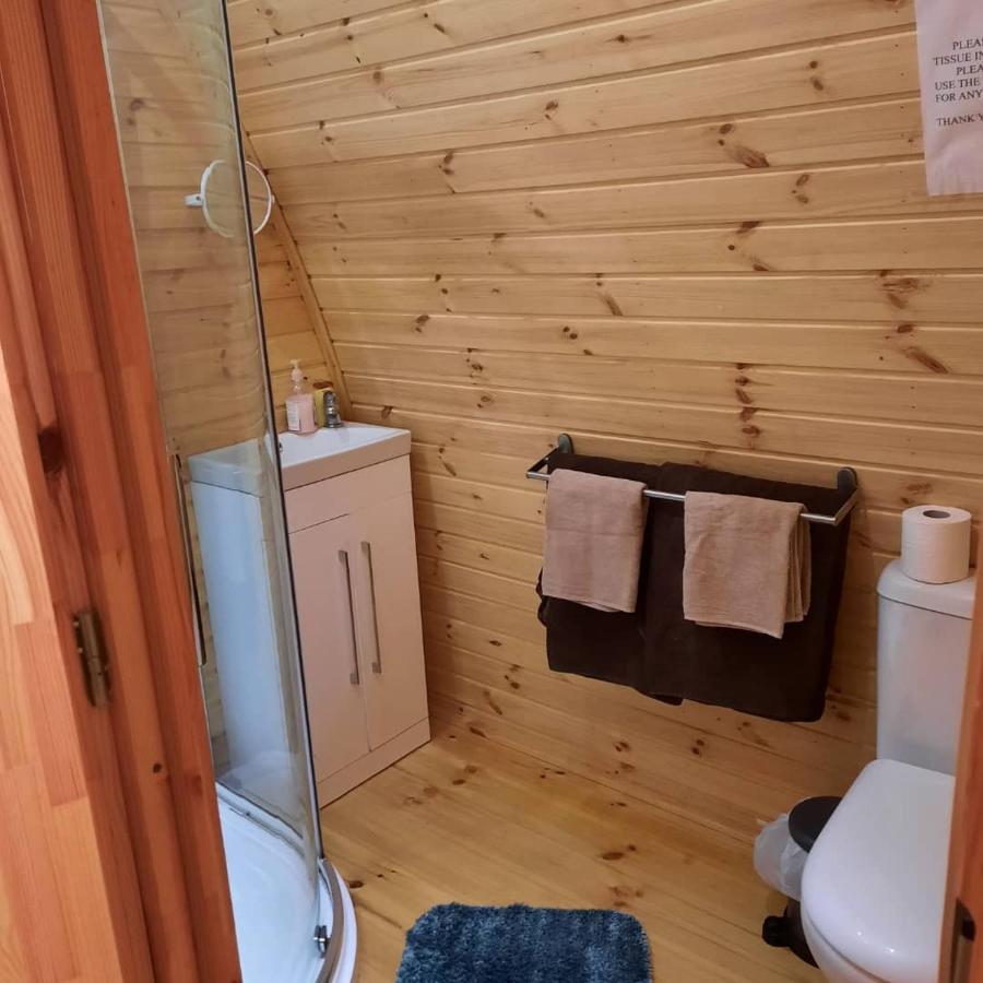 Log Cabin Kells  Exteriör bild